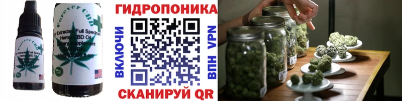 цена   мега маркетплейс  Canna-Cookies конопля  Лесосибирск 