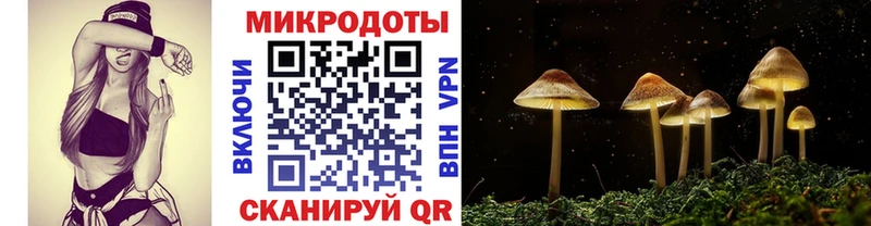 Галлюциногенные грибы GOLDEN TEACHER  Лесосибирск 